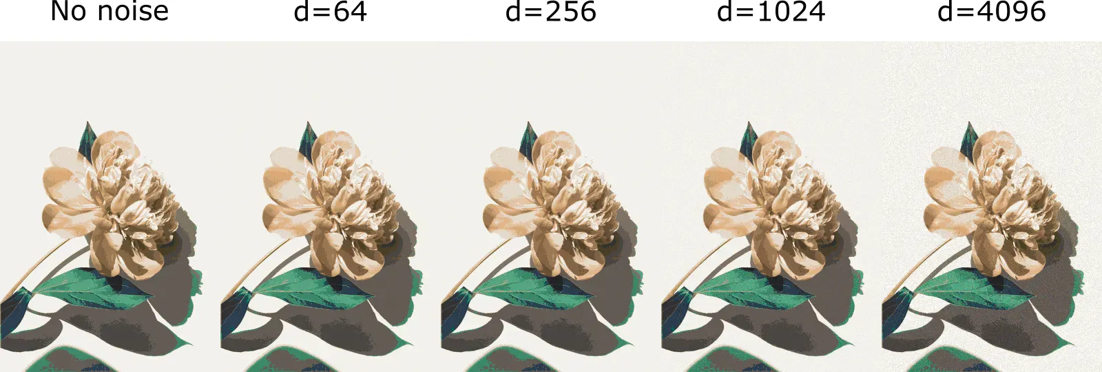 Noisy neighborhood walks at different max walk distances