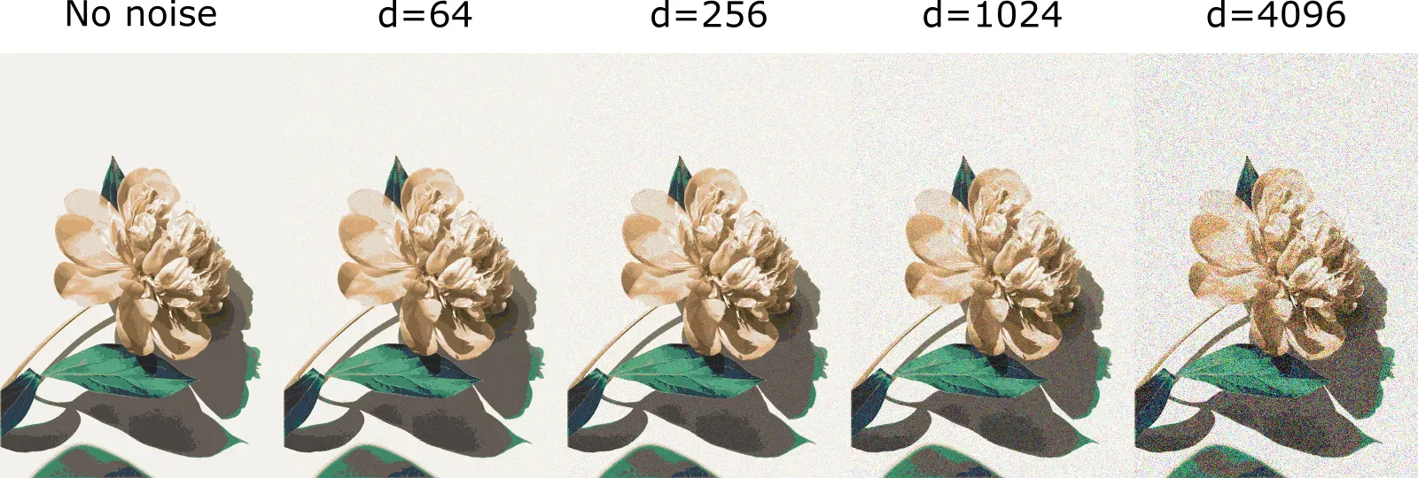 Noisy random walks at different max walk distances