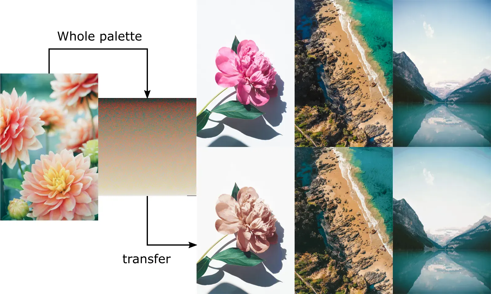 Whole palette transfer from one image to three others